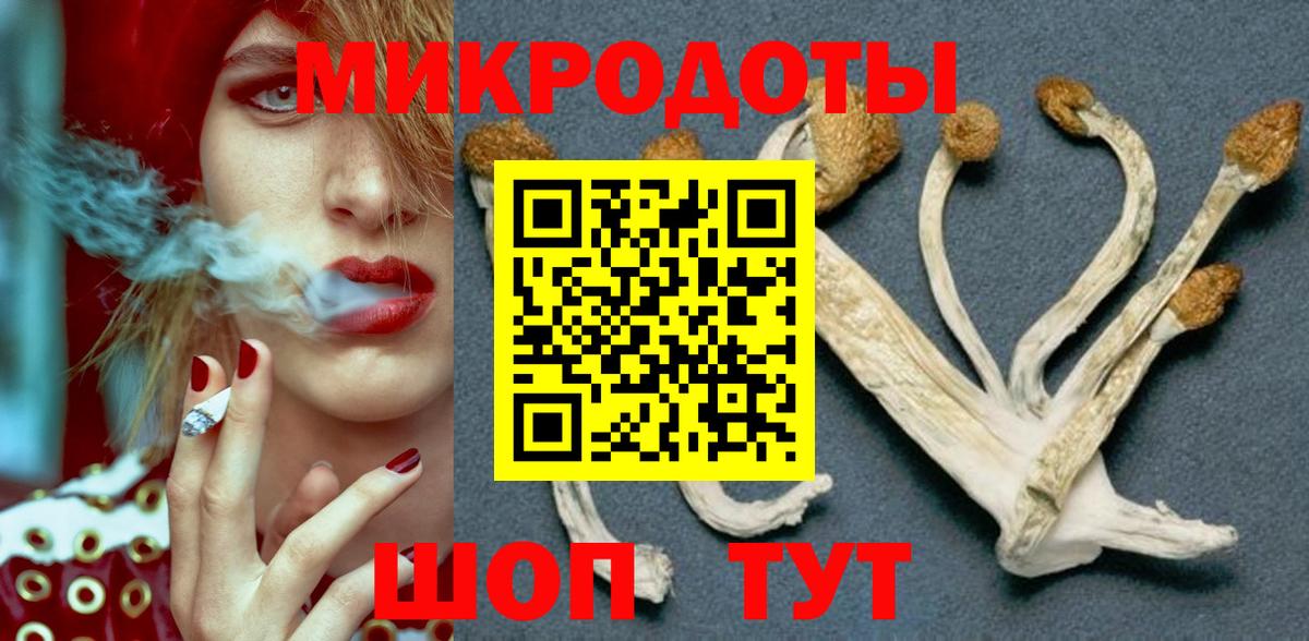 Галлюциногенные грибы Psilocybe  Галлюциногенные грибы прущие грибы  Вход с VPN  Сарапул 