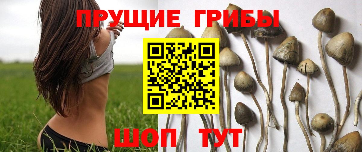 Галлюциногенные грибы MAGIC MUSHROOMS Сарапул